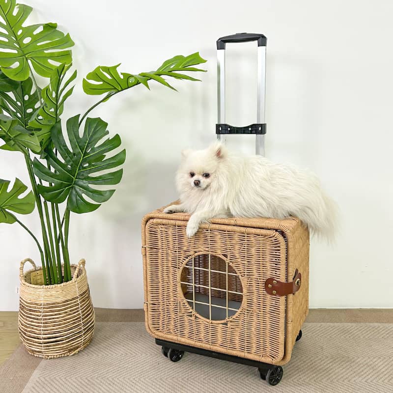 Cat carrier, Pet Bag Travel Suitcase - Image 3