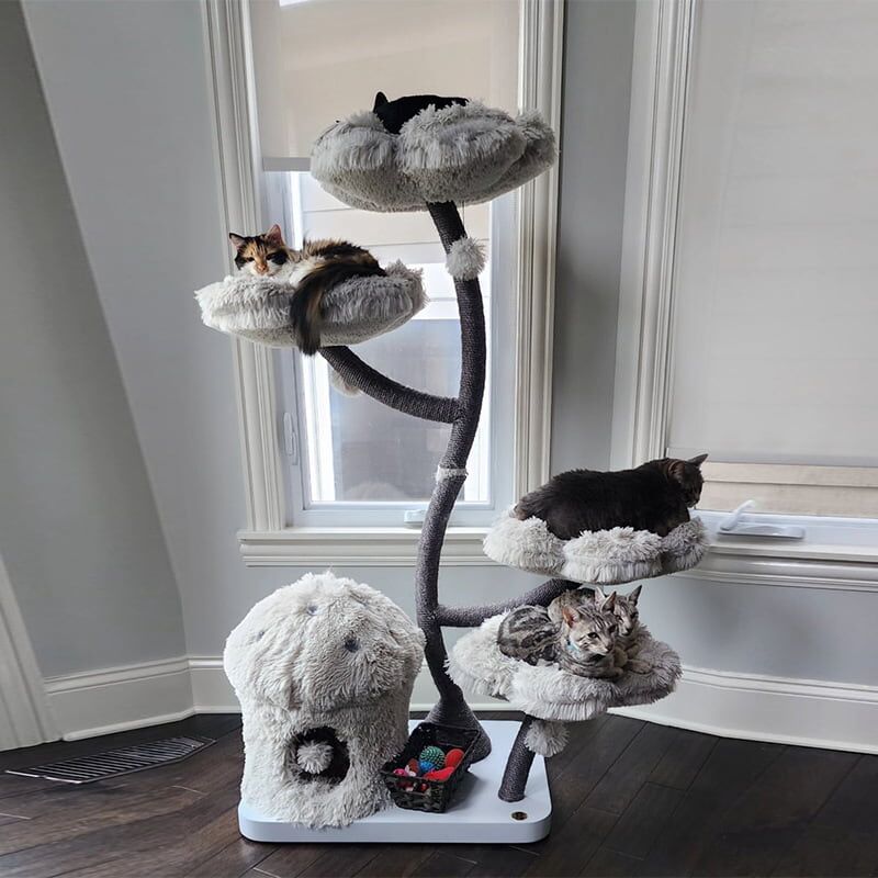 Cat Tree Tower, Cat furniture for big cats - Image 5